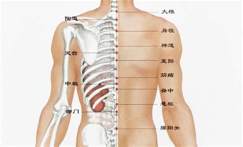 背上很多痣|后背有痣命苦是吗？